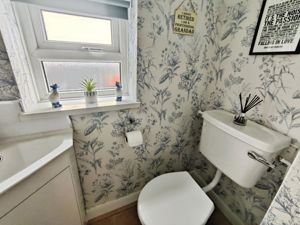 Photo 11- click for photo gallery